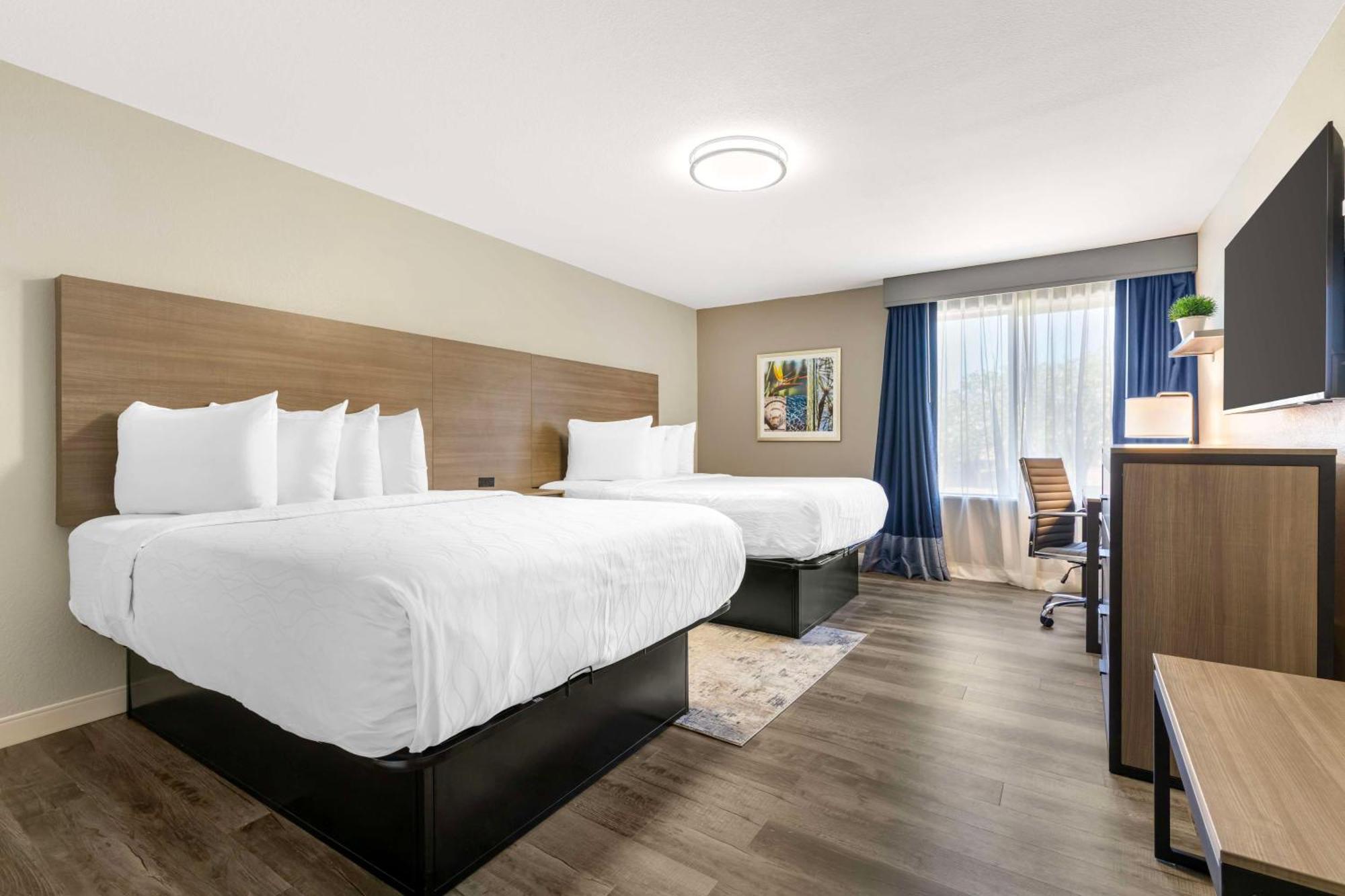Best Western Plus Lewisville Flower Mound Dış mekan fotoğraf