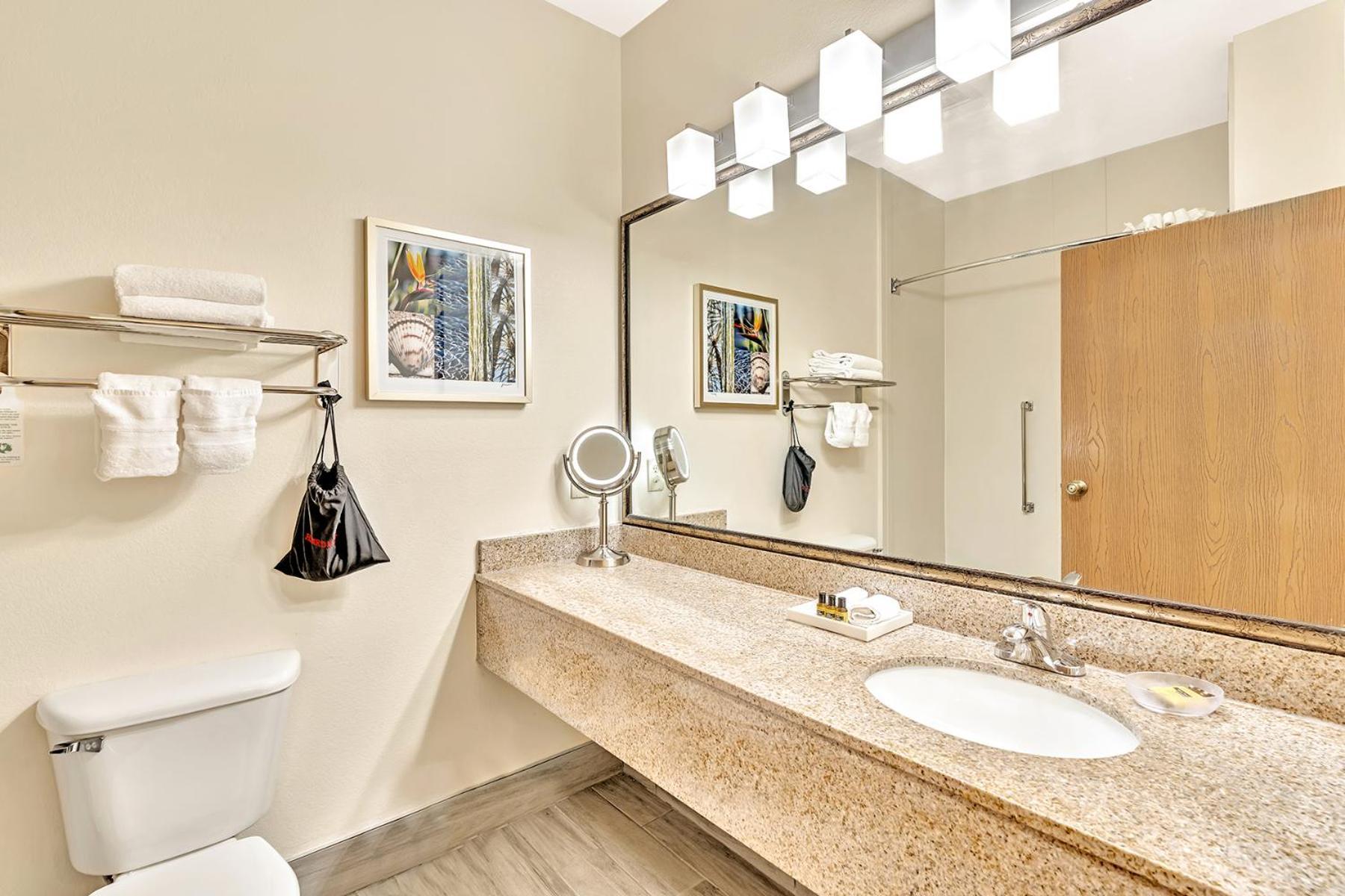 Best Western Plus Lewisville Flower Mound Oda fotoğraf